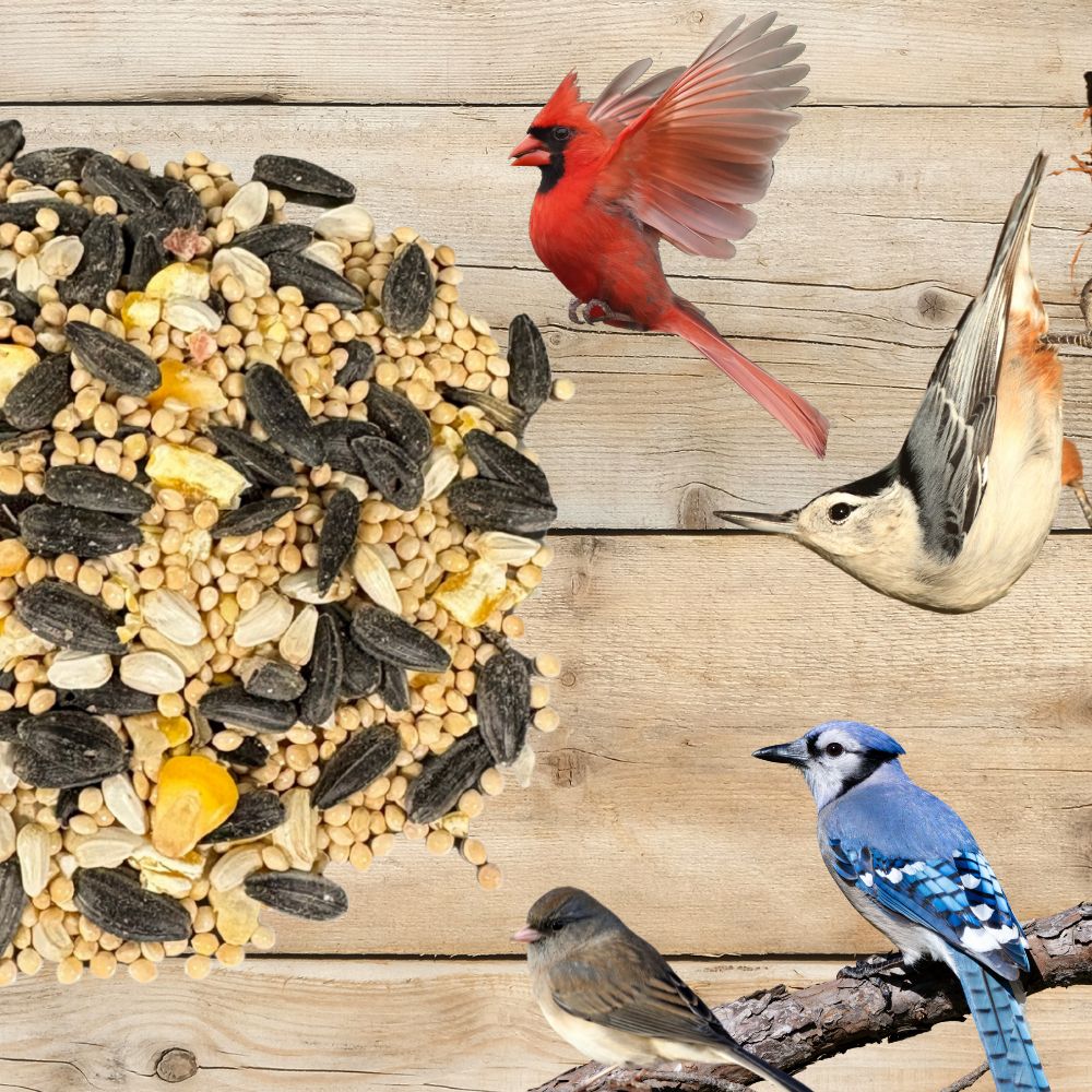 Pollinator & Wild Bird Seed Speedy Blend