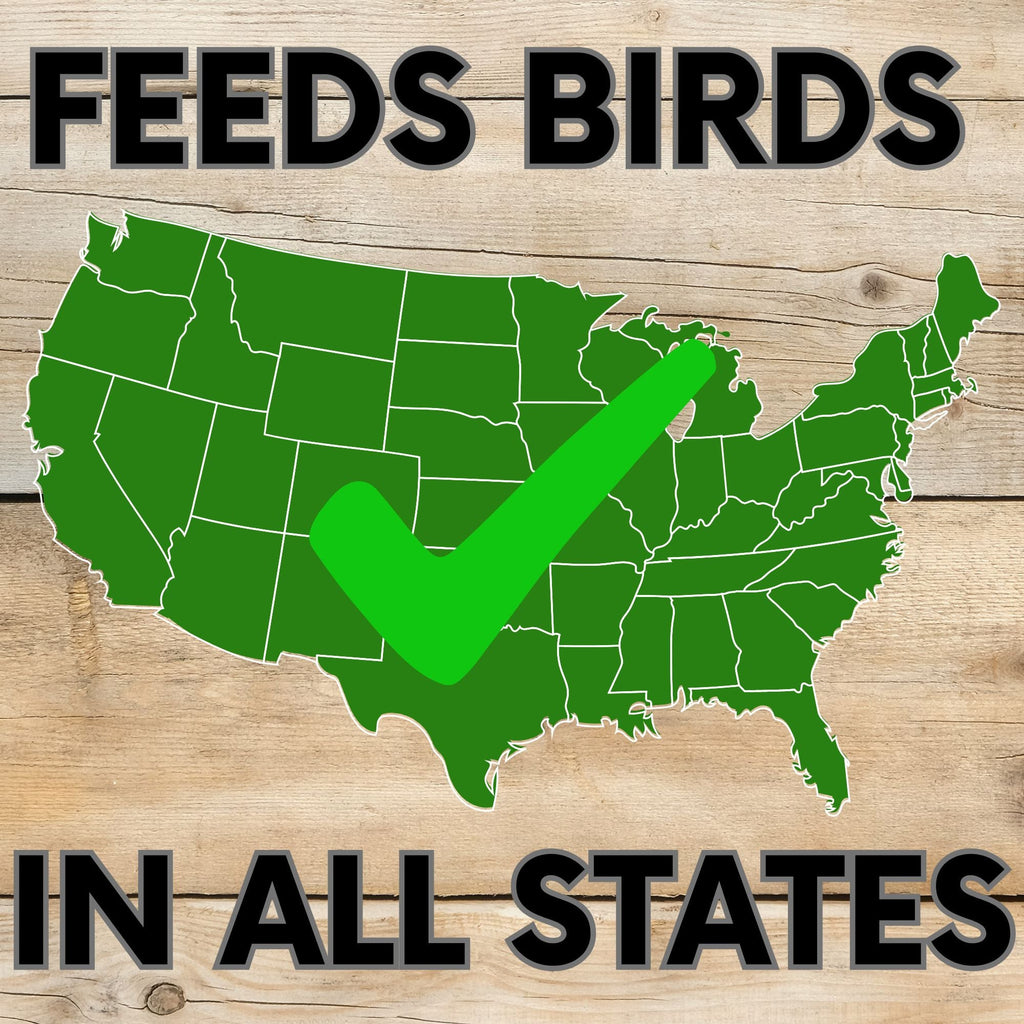 Pollinator & Wild Bird Seed Speedy Blend