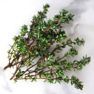 THYME Seeds