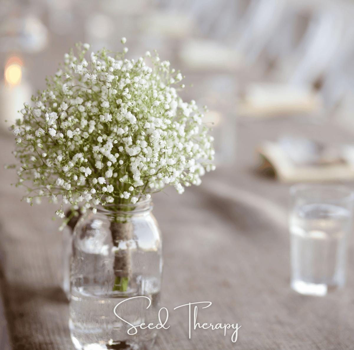 Perennial Baby’s Breath – 100 Seeds