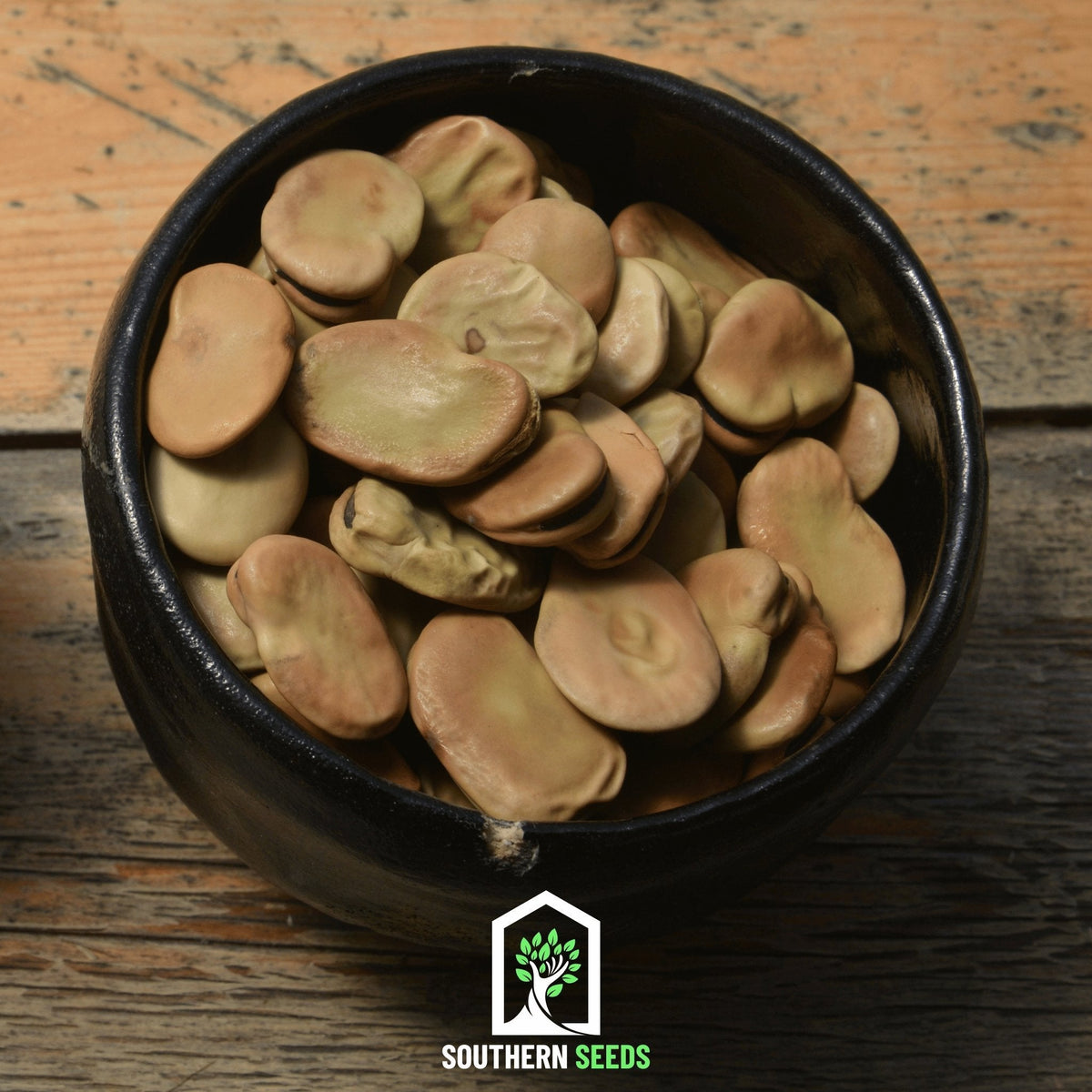 Broad Windsor Fava Bean – 10 Seeds