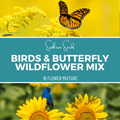 Birds & Butterfly Wildflower Seed Mix (14 Varieties) – 1,000 Seeds