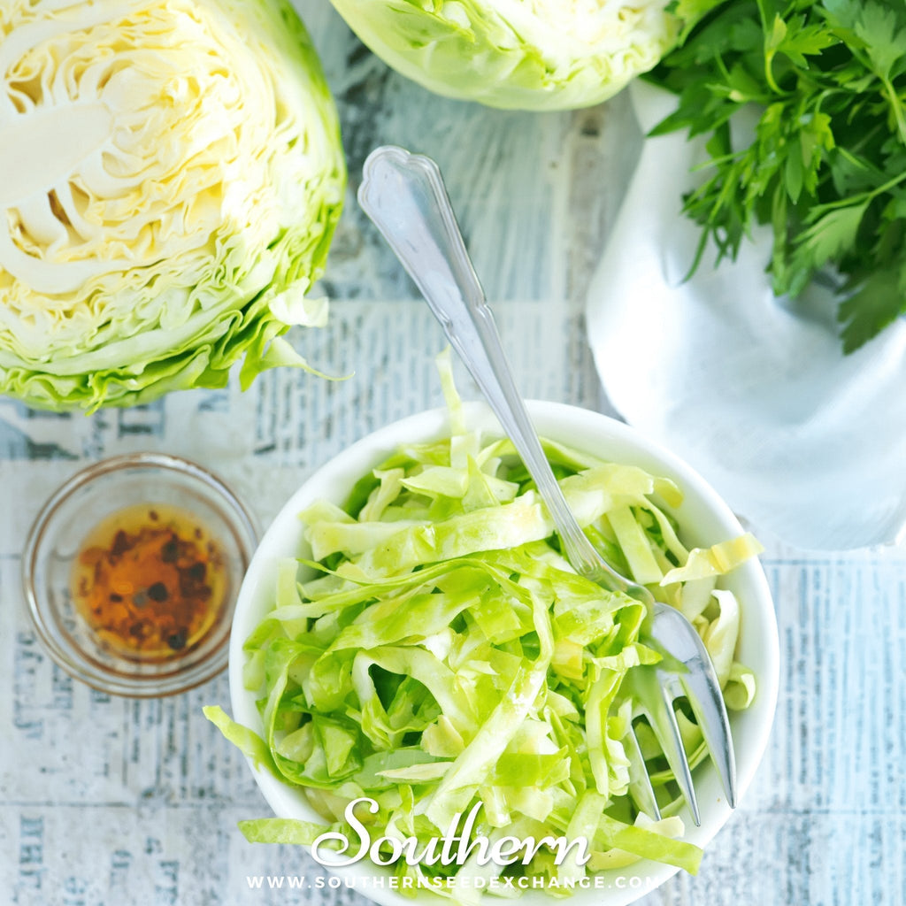 Copenhagen Market Cabbage – 100 Seeds