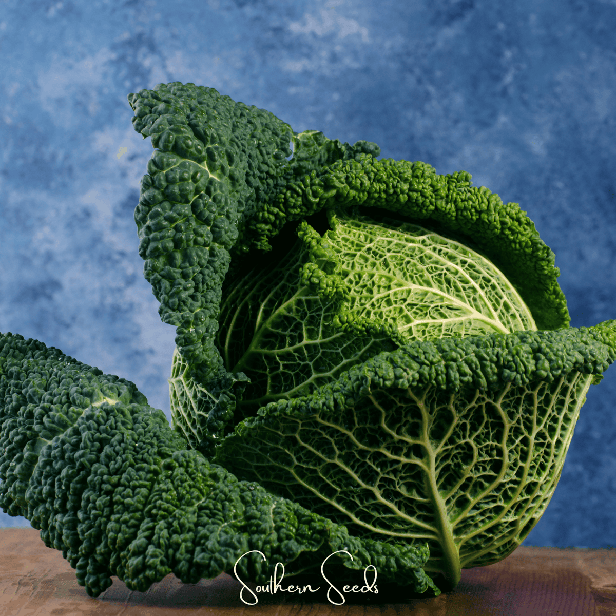 Savoy Cabbage – 100 Seeds