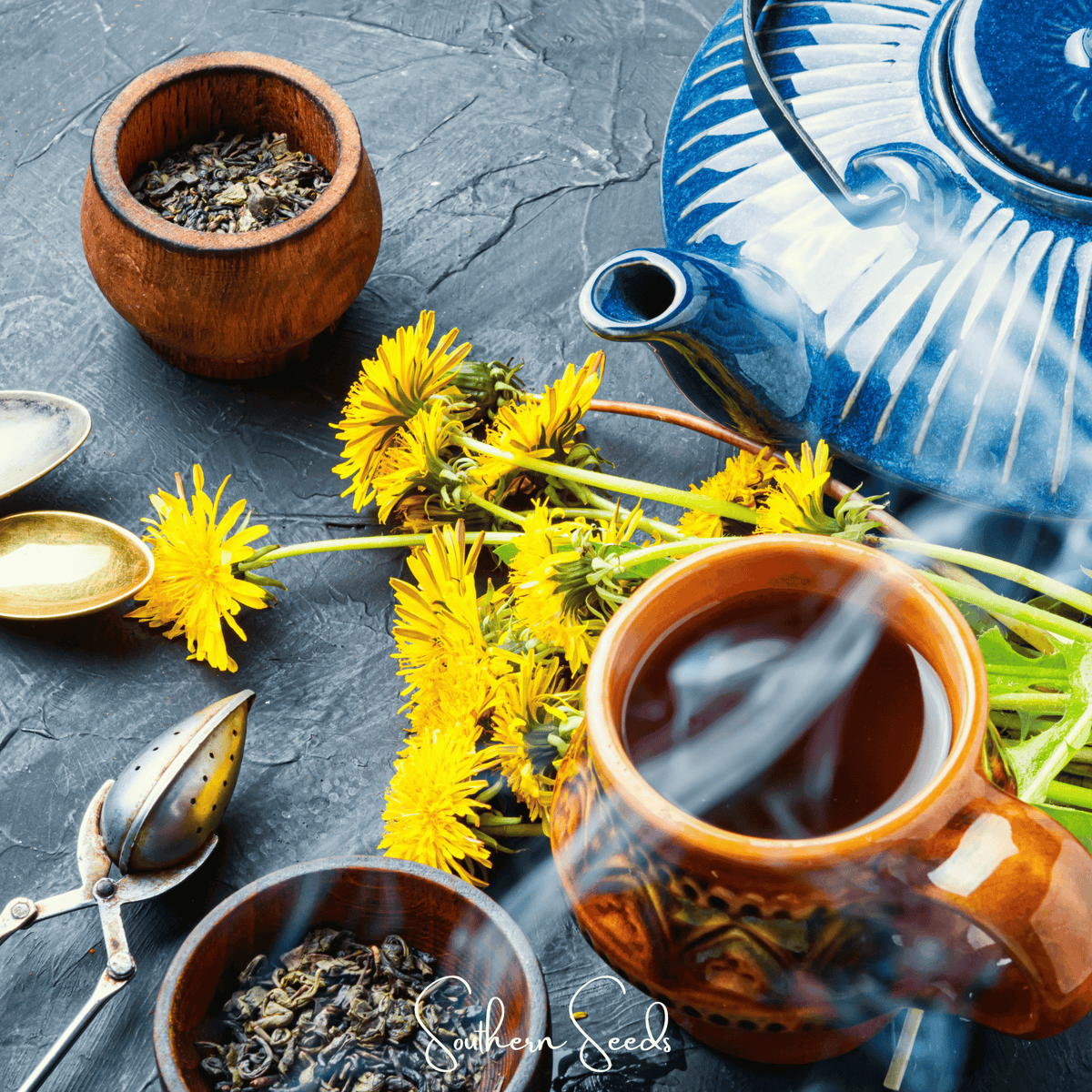 True Dandelion – 50 Seeds
