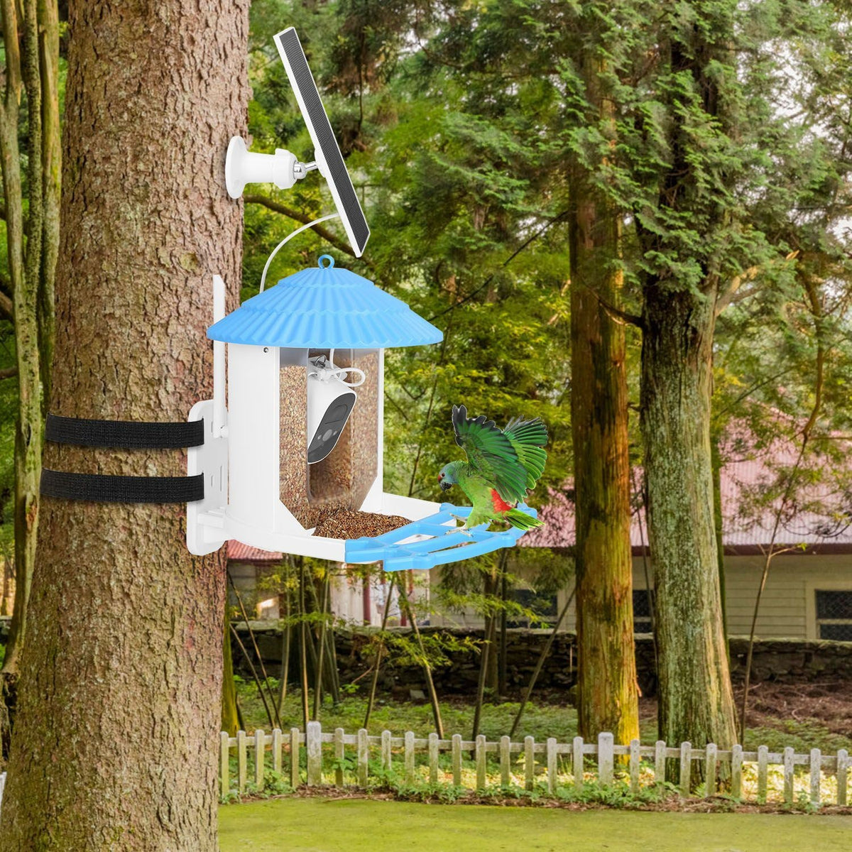 Solar Powered Smart Bird Feeder 2K Bird Watching Camera With PIR Motion AI Birds Species Identify Two-Way Audio Real-Time App Notification Capture Video Gift For Bird Lover