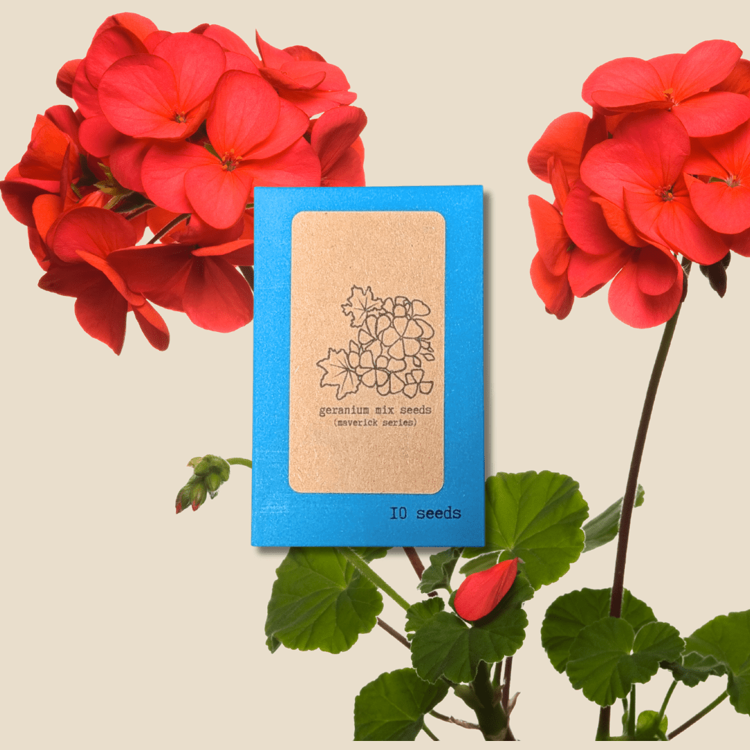 Geranium Seeds
