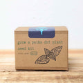 Grow a Polka Dot Seed Kit