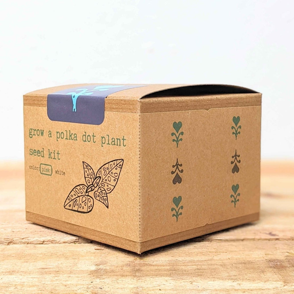 Grow a Polka Dot Seed Kit