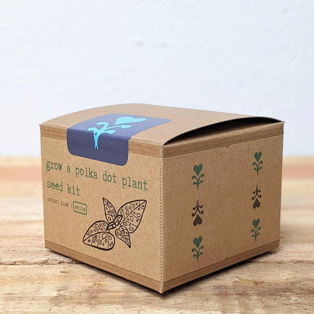 Grow a Polka Dot Seed Kit
