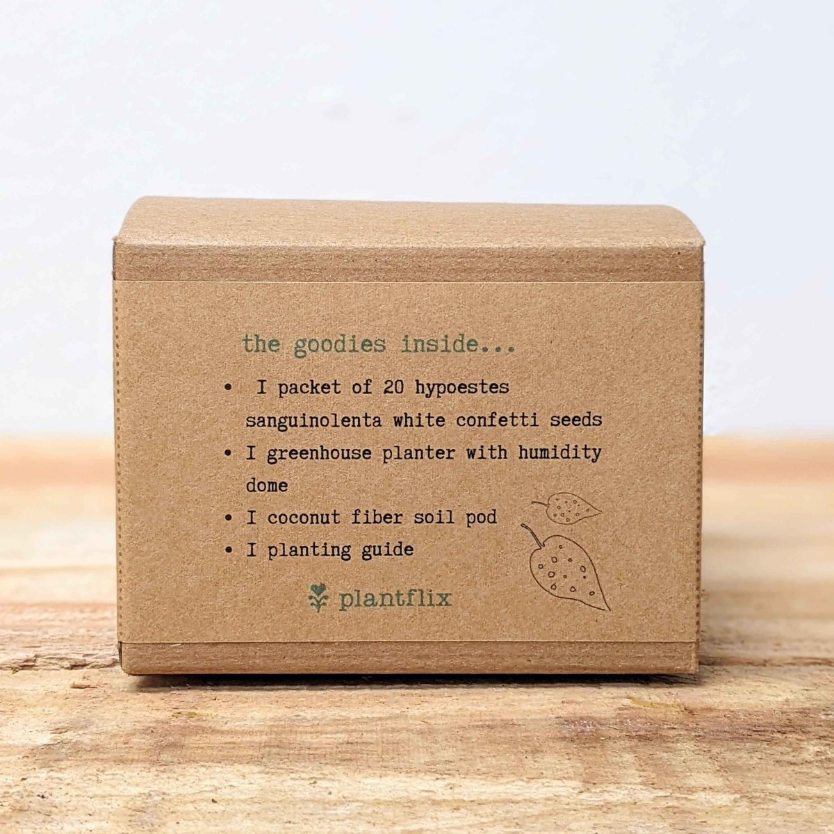 Grow a Polka Dot Seed Kit