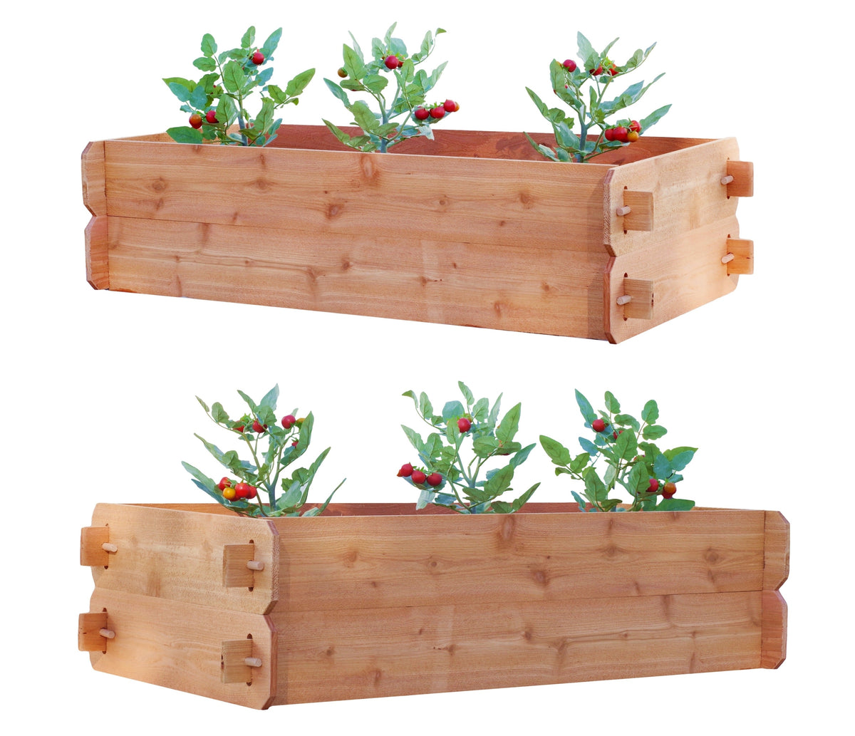SET OF 2 Timberlane Gardens Easy Raised Garden Bed Kits. Double Deep. Select Cedar. Mortise & Tenon. 2' W x 4' L