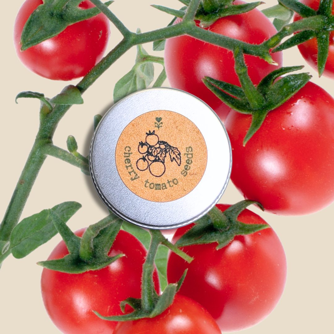 Organic Cherry Tomato Seeds
