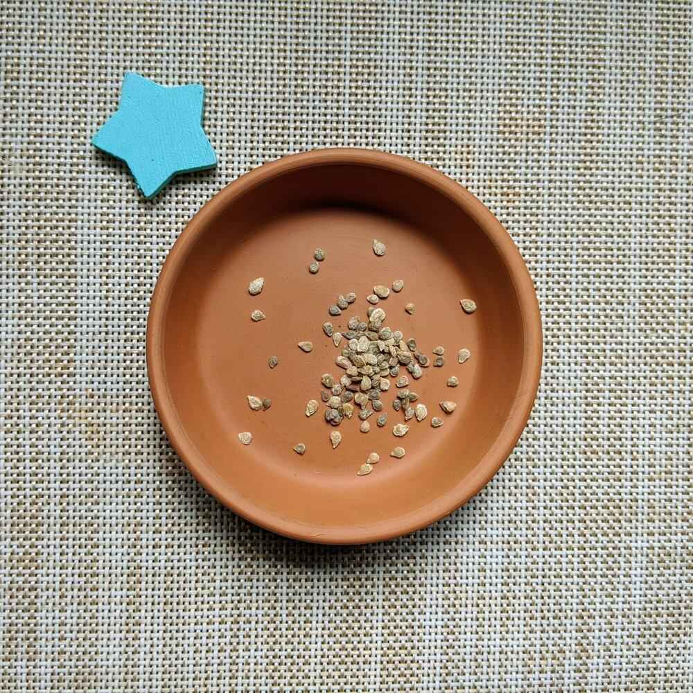 Organic Cherry Tomato Seeds