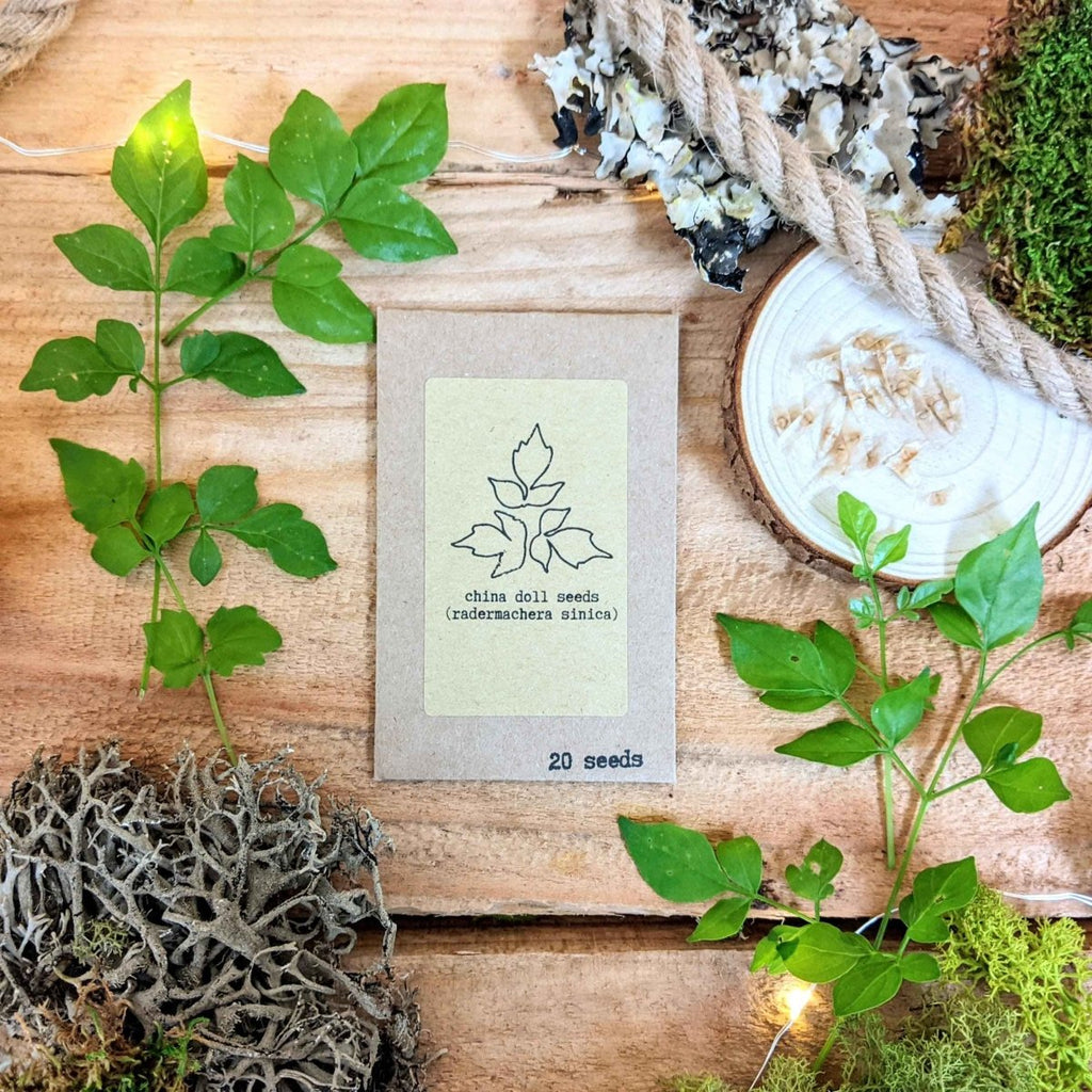 "Pet-Friendly" Houseplant Seed Collection