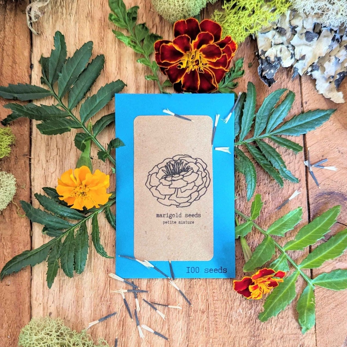 Petite Marigold Seeds
