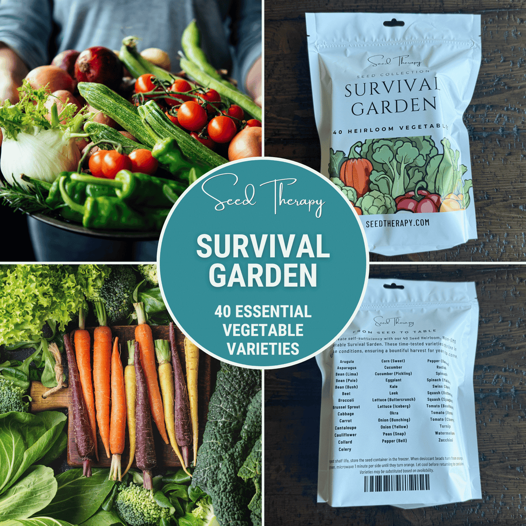 Survival Vegetable Garden – 40 Essential Crops