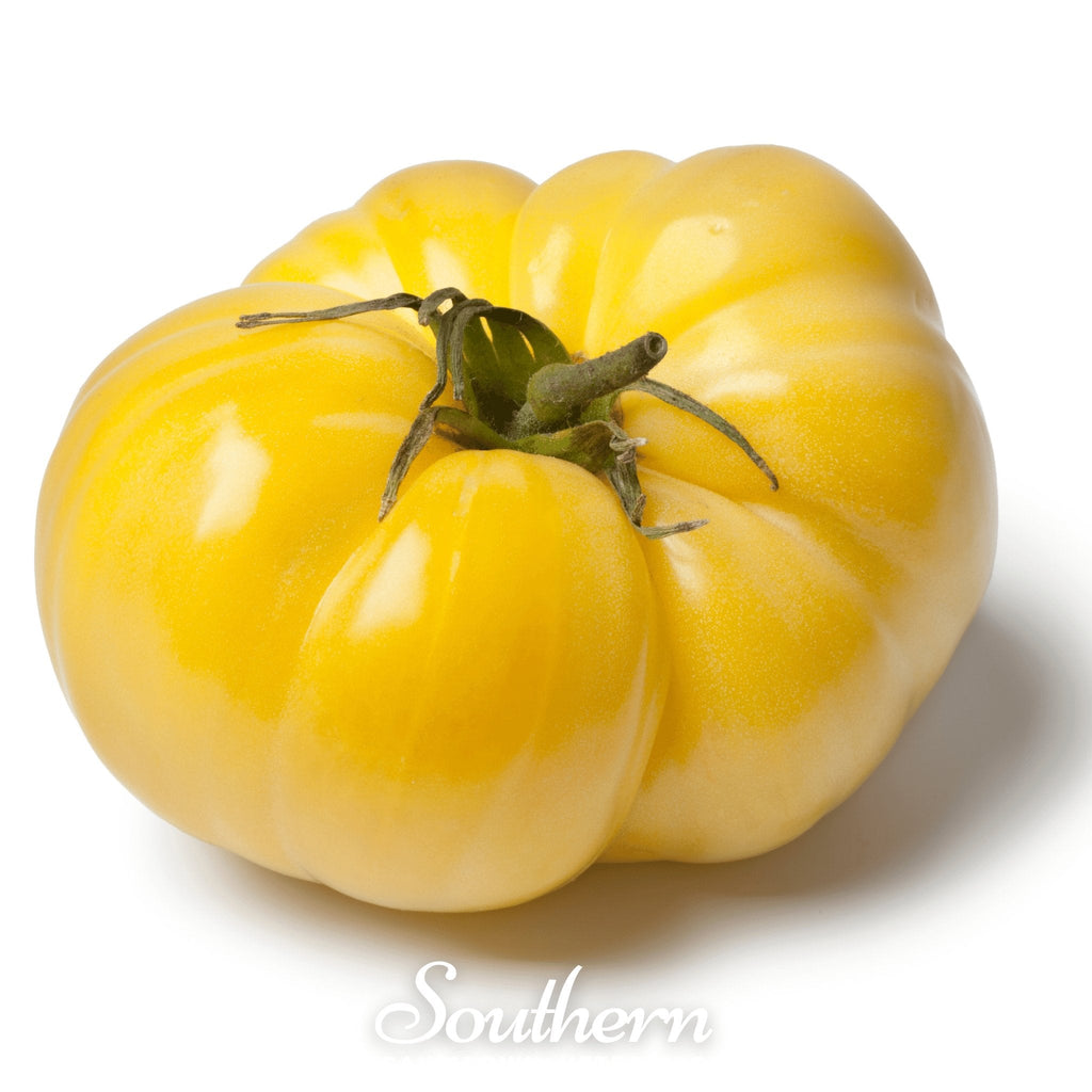 Yellow Brandywine Tomato – 50 Seeds